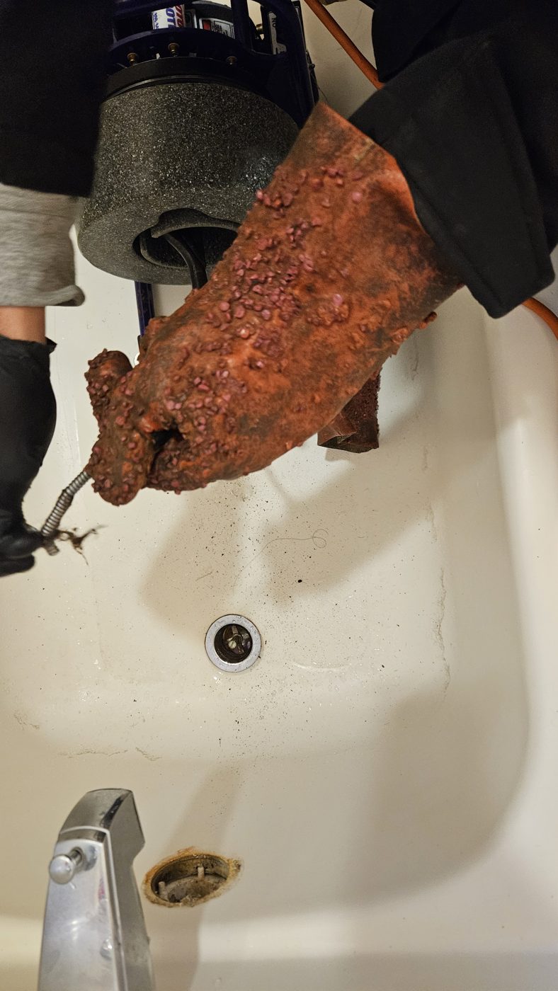 Technician holding a large tree root mass pulled from a main sewer line in Aurora, Colorado
